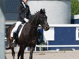 img-99881-628